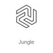 Логотип Радио Record Jungle